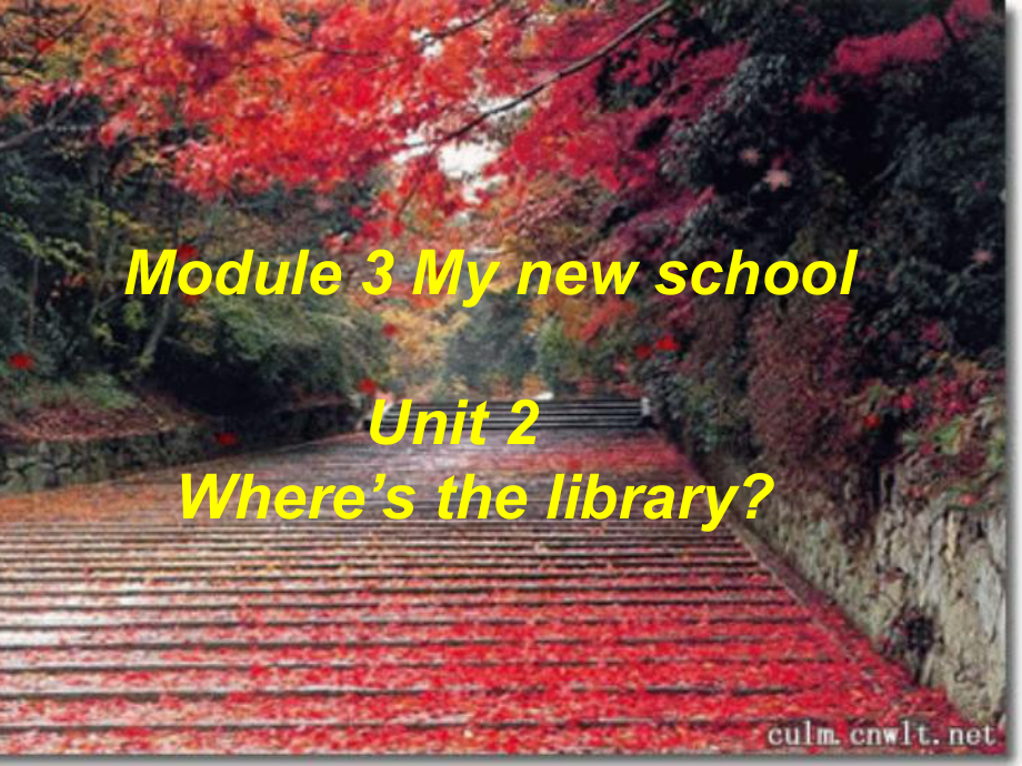 七年級英語Module3Unit2 Where's the library課件_第1頁