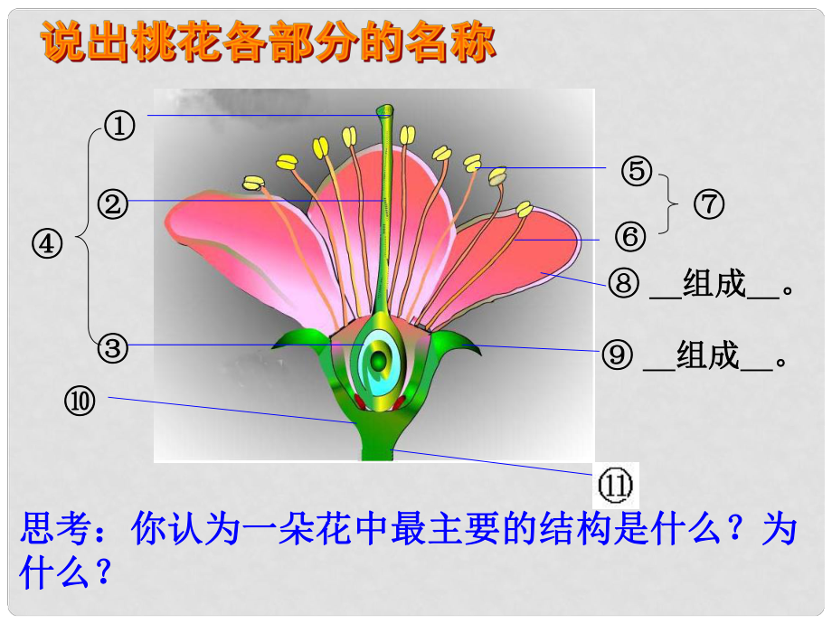 四川省崇州市白頭中學(xué)八年級(jí)生物上冊(cè) 傳粉和受精課件 濟(jì)南版_第1頁(yè)