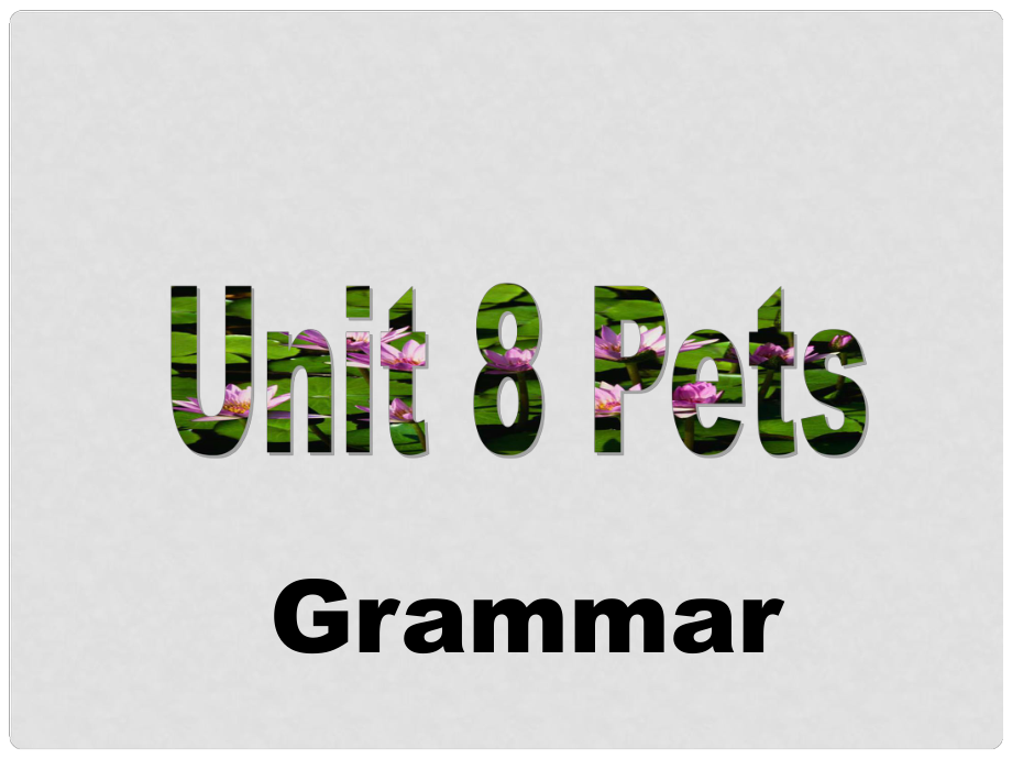 江蘇省永豐初級(jí)中學(xué)七年級(jí)英語(yǔ)下冊(cè) Unit 8 Pets Grammar課件 （新版）牛津版_第1頁(yè)