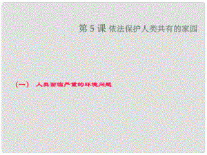 九年級(jí)政治 依法保護(hù)人類(lèi)共有的家園課件 人教新課標(biāo)版