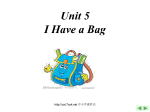 陜旅版小學(xué)英語三年級(jí)上冊(cè)Unit 5I have a bag課件1