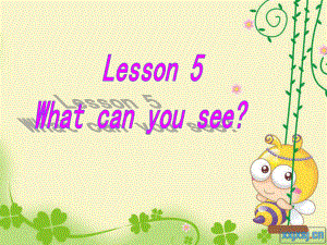 科普版英語(yǔ)四上Lesson 5What can you see課件3