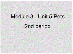 高一英語上冊 Module 3 Unit 5 Pets 2nd period課件 上海新世紀(jì)版