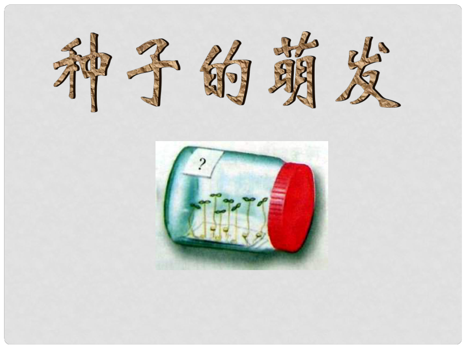 黑龍江省八五四農(nóng)場(chǎng)中學(xué)七年級(jí)生物上冊(cè) 種子的萌發(fā)課件 新人教版_第1頁