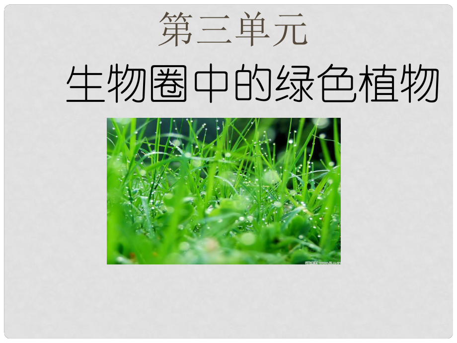 七年級生物上冊 第三單元 第一章 第一節(jié) 藻類、苔蘚和蕨類植物課件 新人教版_第1頁