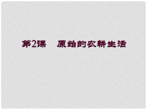 河南師大附中七年級歷史上冊 第2課 原始的農(nóng)耕生活課件 新人教版