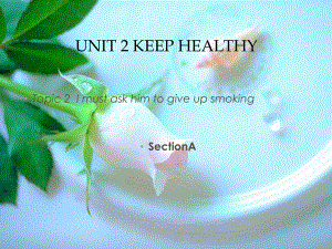 八年級英語Unit 2 Keep Healthy課件