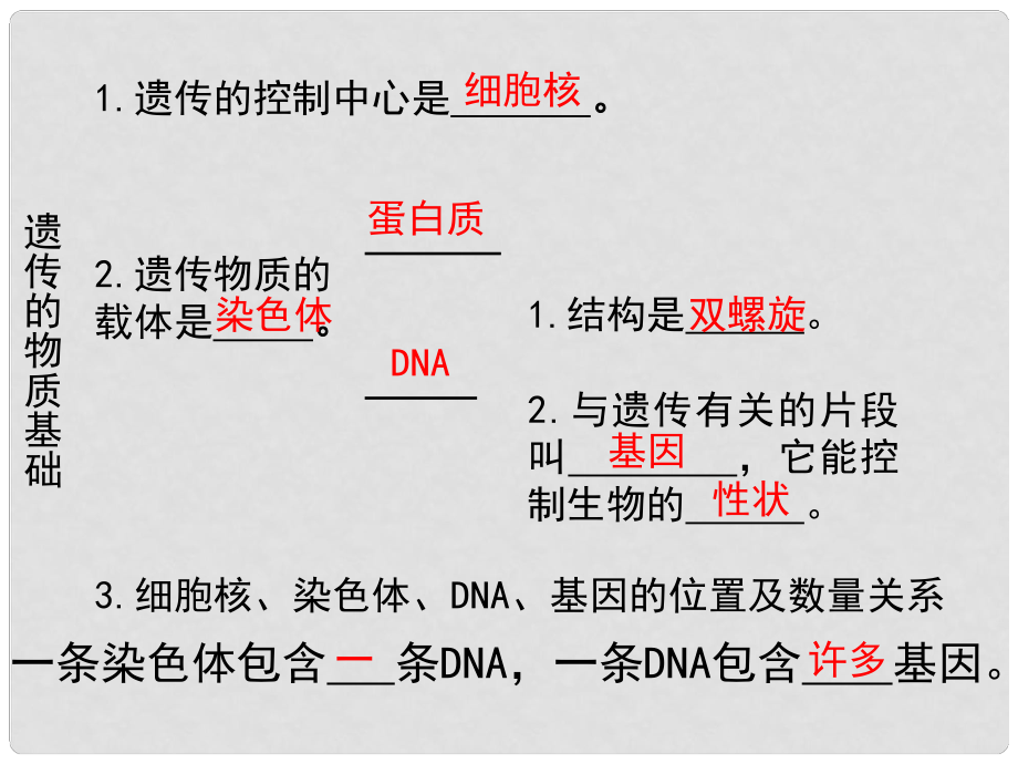 山東省高密市銀鷹文昌中學(xué)八年級(jí)生物上冊(cè) 4.4.3 性狀的遺傳1課件 濟(jì)南版_第1頁