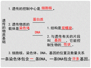 山東省高密市銀鷹文昌中學八年級生物上冊 4.4.3 性狀的遺傳1課件 濟南版