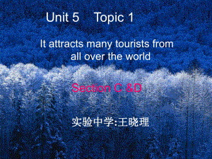 九年級英語下Unit5 Topic 1 Section C and D課件仁愛版