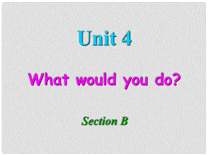 九年級 英語Unit 4 What would you do單元 Section B 課件人教版新目標(biāo)