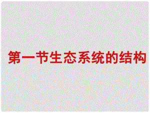 高中生物 第五章 第一節(jié) 生態(tài)系統(tǒng)的結構課件3 新人教版必修3