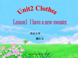 魯科版英語三年級下冊Unit 2Lesson 1 I have a new sweater課件2