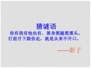 河南省洛陽市東升二中七年級語文下冊《第18課 竹影》課件 新人教版