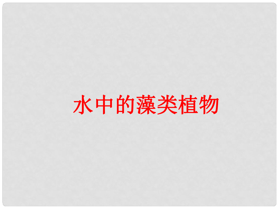 江苏省连云港市东海晶都双语学校七年级生物下册 水中的藻类植物 课件 苏科版_第1页