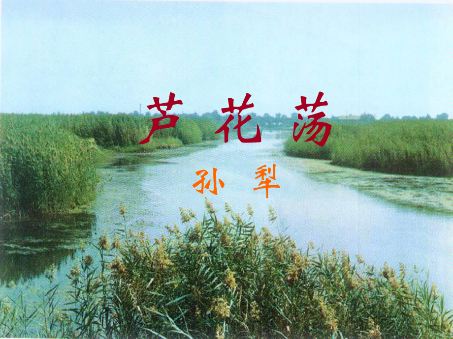 浙江省永嘉縣橋頭鎮(zhèn)白云中學(xué)八年級(jí)語文上冊(cè) 2 蘆花蕩（第3課時(shí)）課件 新人教版_第1頁