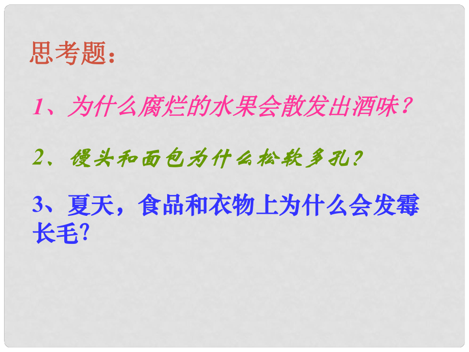 江西省赣县第二中学八年级生物上册 543 真菌课件 新人教版_第1页