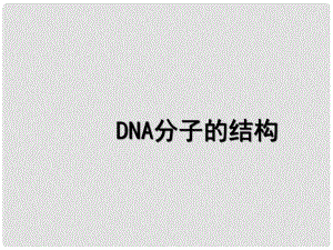 高中生物必修2 DNA分子的結(jié)構(gòu)課件