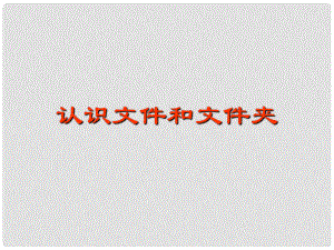 四川省七年級(jí)信息技術(shù)下冊(cè) 第2課《文件與文件夾》課件 新人教版