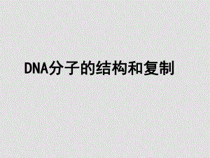 高一生物必修2 遺傳DNA的結(jié)構(gòu)和復(fù)制 課件