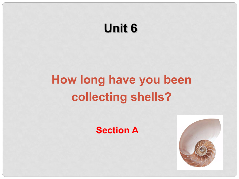 湖北省十堰市東風四中八年級英語上冊 Unit 6 How long have you been collecting shells Section A2課件 人教新目標版_第1頁