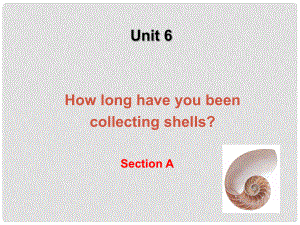 湖北省十堰市東風(fēng)四中八年級(jí)英語(yǔ)上冊(cè) Unit 6 How long have you been collecting shells Section A2課件 人教新目標(biāo)版