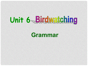 江蘇省泰州市沈毅中學(xué)八年級(jí)英語上冊(cè) Unit 6 Bird watching Grammar課件 （新版）牛津版