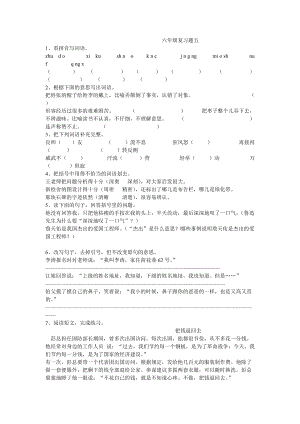 六年級(jí)總復(fù)習(xí)試卷[共22頁]