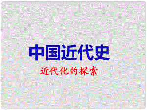 江西省蘆溪宣風鎮(zhèn)中學中考歷史專題復習 近代化的探索課件 新人教版