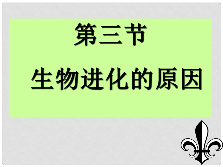 八年級生物下冊 生物進化的原因課件 濟南版_第1頁