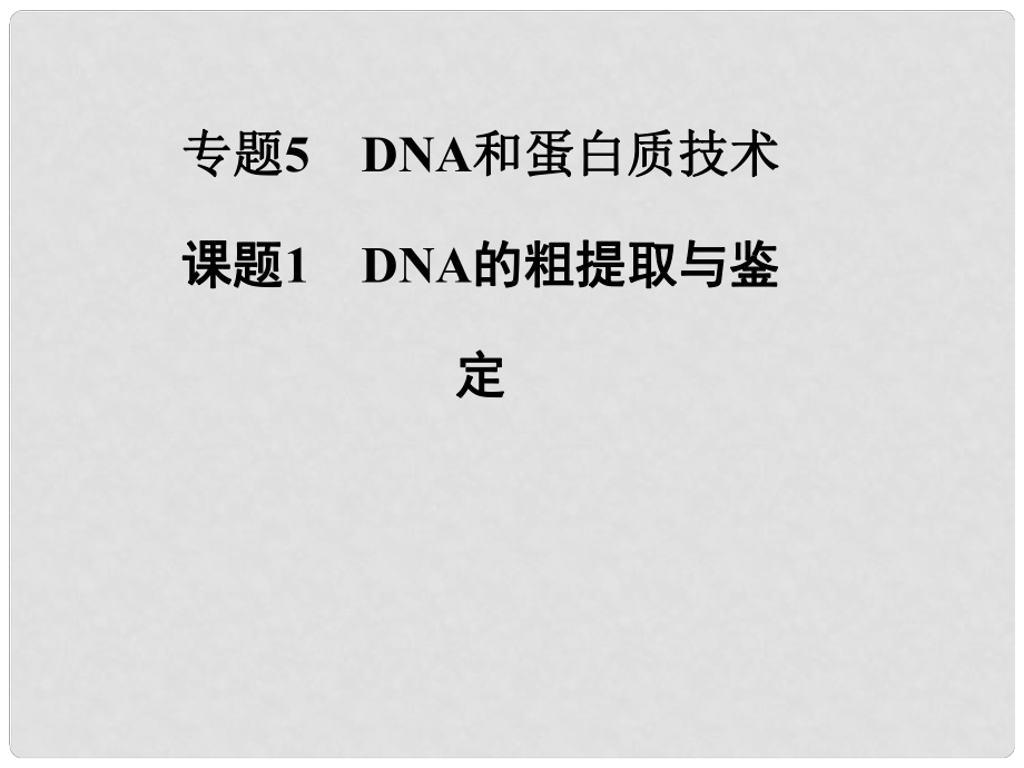 高中生物 專題五 課題1 DNA的粗提取與鑒定課件 新人教版選修1_第1頁