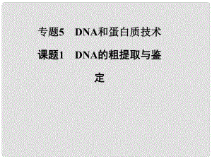 高中生物 專題五 課題1 DNA的粗提取與鑒定課件 新人教版選修1