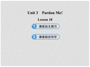 九年級(jí)英語下冊(cè) Unit 3 Pardon Me！Lesson 18課件 冀教版