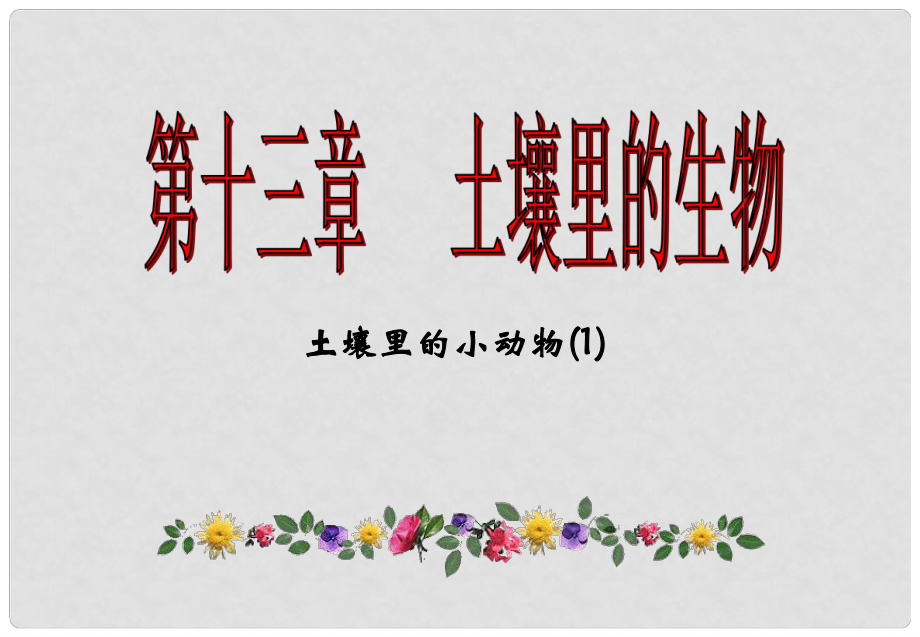 江蘇省揚(yáng)中市同德中學(xué)七年級生物下冊 131 土壤里的小動物課件1 （新版）蘇科版_第1頁