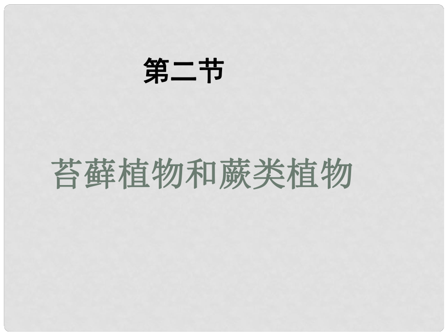 山东省淄博市桓台县起凤中学七年级生物上册 苔藓蕨类课件 鲁科版_第1页