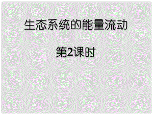 江蘇省宿遷市馬陵中學高考生物專題復習 能量流動課件