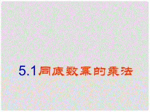 浙江省泰順縣羅陽二中七年級數(shù)學(xué)下冊 5.1 同底數(shù)冪的乘法課件 浙教版