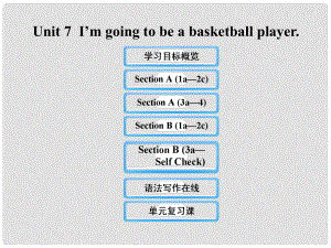 七年級英語下冊 Unit 7 I’m going to be a basketball player課件 魯教版