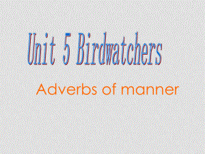 八年級(jí)英語8A unit5 grammar adverbs of manner課件 牛津版上冊(cè)