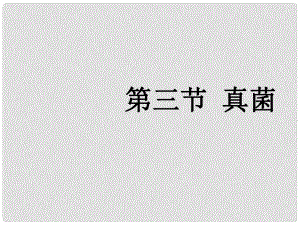 青海省湟川中學(xué)第二分校八年級生物 第三節(jié) 真菌課件 人教新課標(biāo)版