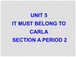 廣西東興市江平中學九年級英語全冊 Unit 5 It must belong to Carla！Section A2課件 人教新目標版