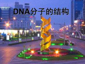 湖南省懷化市湖天中學高中生物 第3章 第2節(jié) DNA分子結構課件 新人教版必修2