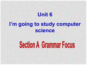 天津市東麗區(qū)徐莊子中學(xué)八年級英語上冊 Unit 6 I’m going to study computer science Section A(Grammar Focus)課件 （新版）人教新目標(biāo)版