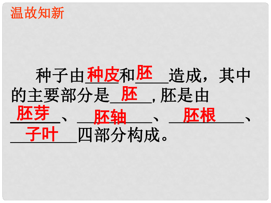 七年級生物上冊 第一節(jié) 種子的萌發(fā)課件 新人教版_第1頁