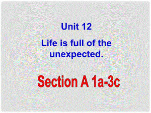 浙江省紹興縣楊汛橋鎮(zhèn)中學(xué)九年級英語全冊《Unit 12 Life is full of the unexpected》（Section A 1）課件 （新版）人教新目標(biāo)版