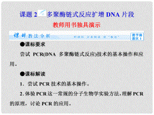 高中生物 專題5 課題2 多聚酶鏈?zhǔn)椒磻?yīng)擴(kuò)增DNA片段課件 新人教版