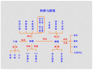 高考生物大一輪復習 知識點 種群與群落課件