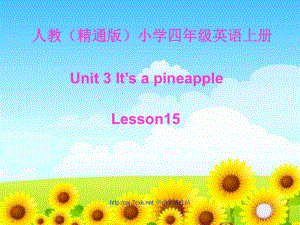 人教精通版英語(yǔ)四上Unit 3It’s a pineappleLesson 15ppt課件