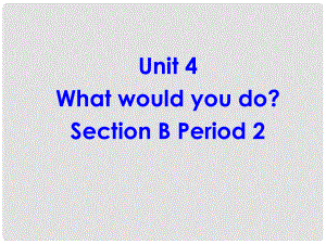 廣西東興市江平中學九年級英語全冊 Unit 4 What would you do？Section B2課件 人教新目標版