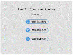 甘肅省玉門市花海中學(xué)七年級英語上冊 Unit 2 Colours and Clothes Lesson 10 Clothes for a Cold Day課件 冀教版